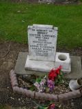 image of grave number 238418